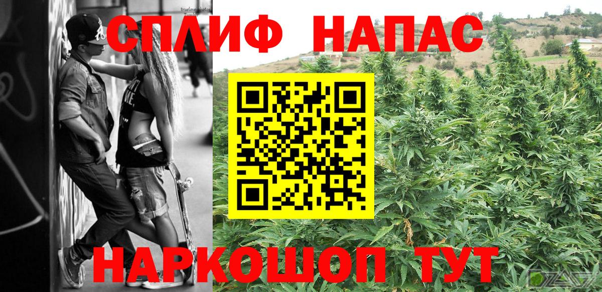 Шишки марихуана семена  Бошки Шишки MAZAR  Анжеро-Судженск  Бошки марихуана сатива  Вход с VPN 